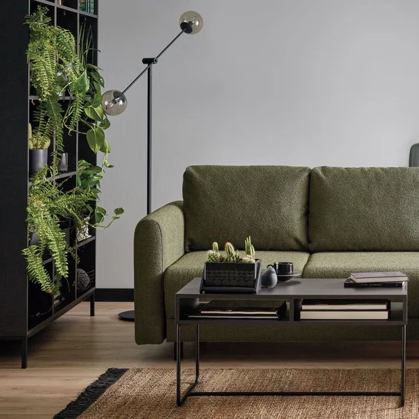 Zielona sofa obok regału z paprotkami